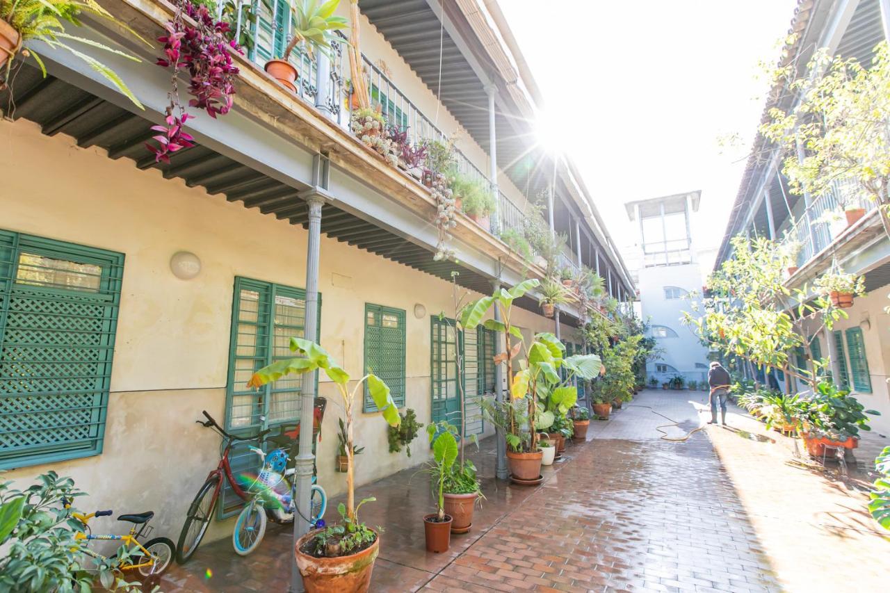 Apartamento 3 Dormitorios En Calle San Vicente. 세비야 외부 사진