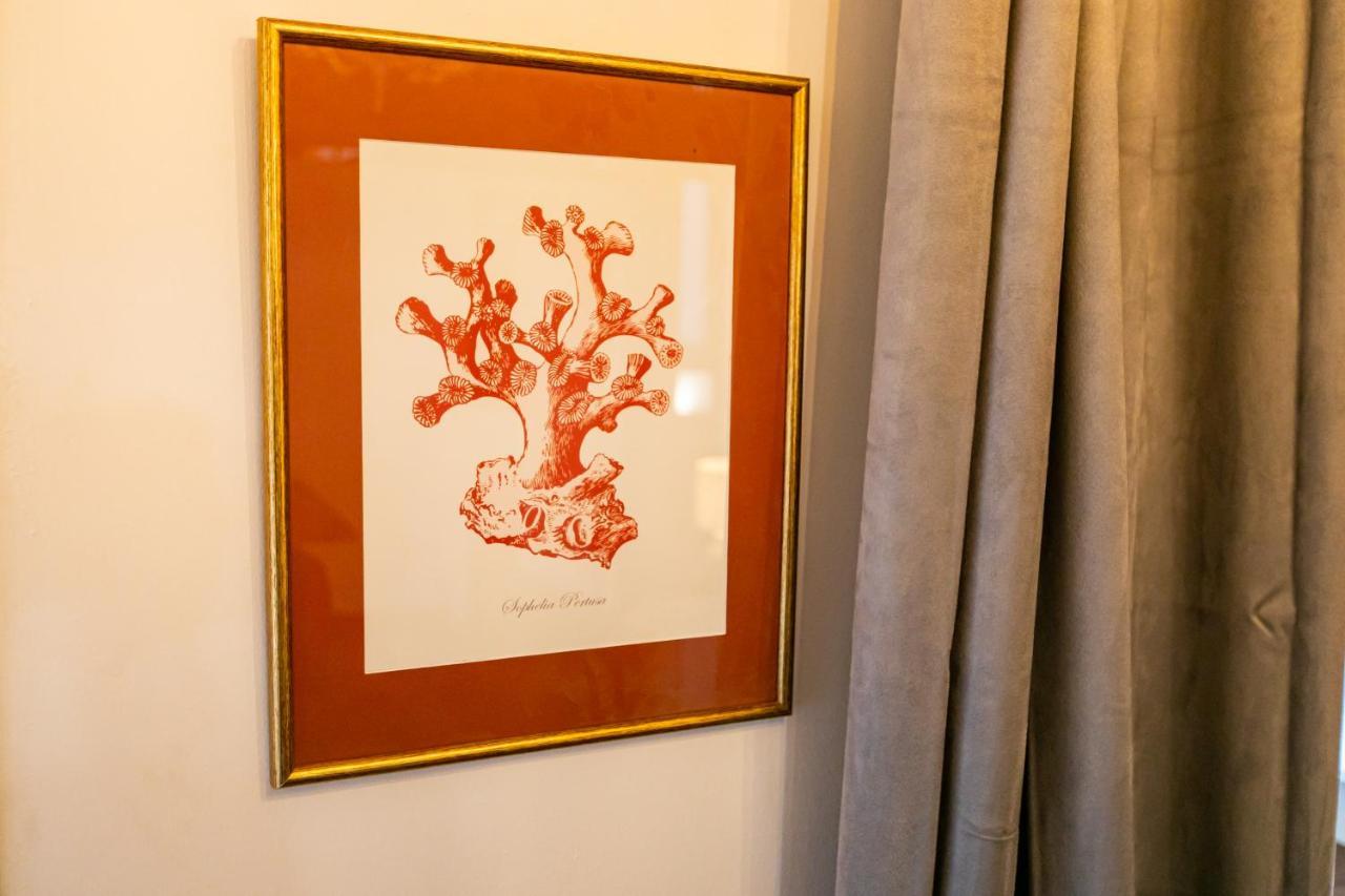 Apartamento 3 Dormitorios En Calle San Vicente. 세비야 외부 사진